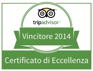 tripadvisor